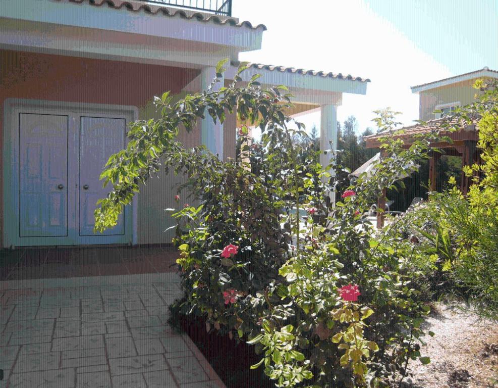 Peyia Villas Cyprus Exterior photo